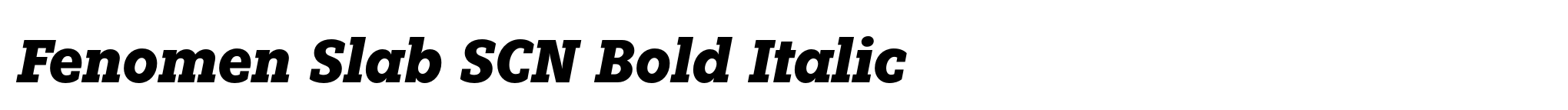 Fenomen Slab SCN Bold Italic image